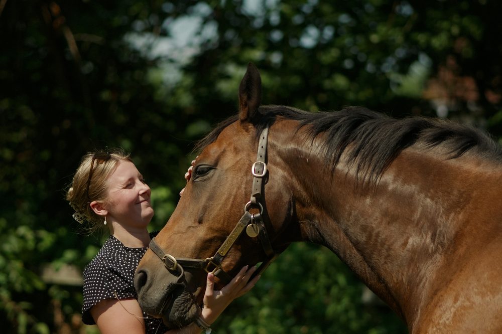 A leader connecting authentically with a horse